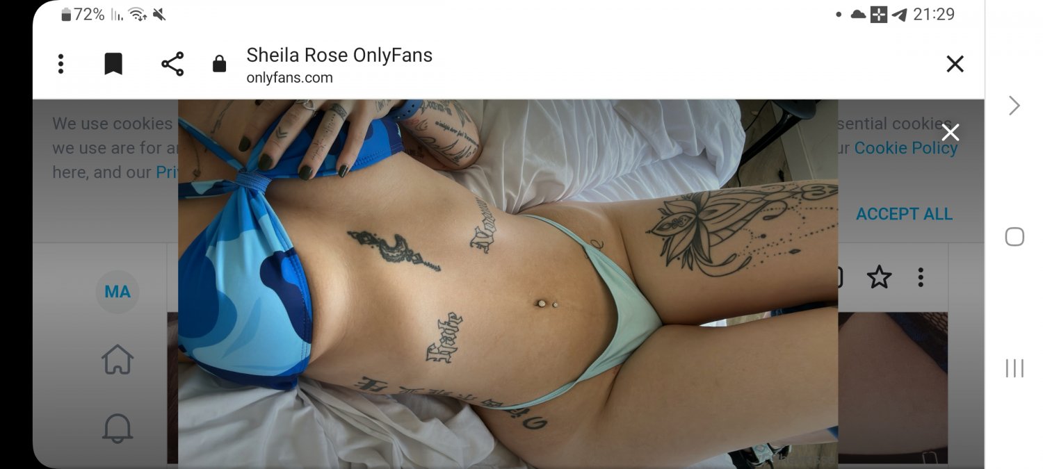 Sheila Rosse #s5pDrQNa